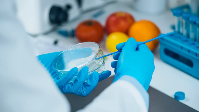 Laboratorio seguridad alimentaria Implica