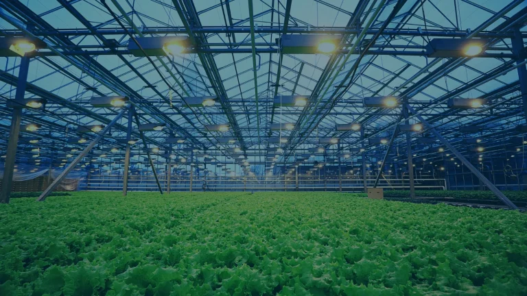 Nueva financiación empresa agricola Senegal