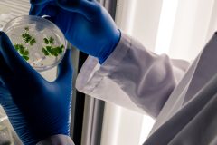 Biotecnología